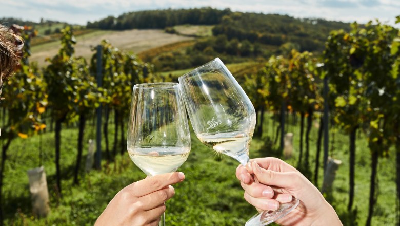Toasting in the vineyard, © Weinviertel Tourismus / Michael Liebert Two people clink glasses in a vineyard.