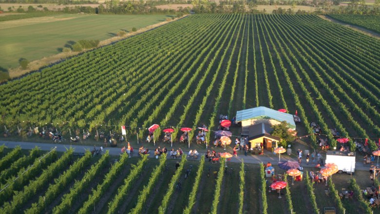 Weihathuette Landauer-Gisperg, © Winzerhof Landauer-Gisperg Weihathuette Landauer-Gisperg, © Winzerhof Landauer-Gisperg