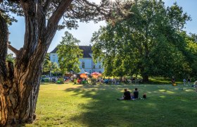 back-platane-6735_rene-kussnow, © Rene Kussnow People relaxing in the park under trees, with a large building in the background.