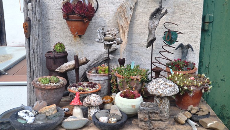 020db5d9-619c-4d43-881a-4e6ed982fb1a_farbe, © Familie Mahr Various succulents and decorative stones arranged on a wooden table.