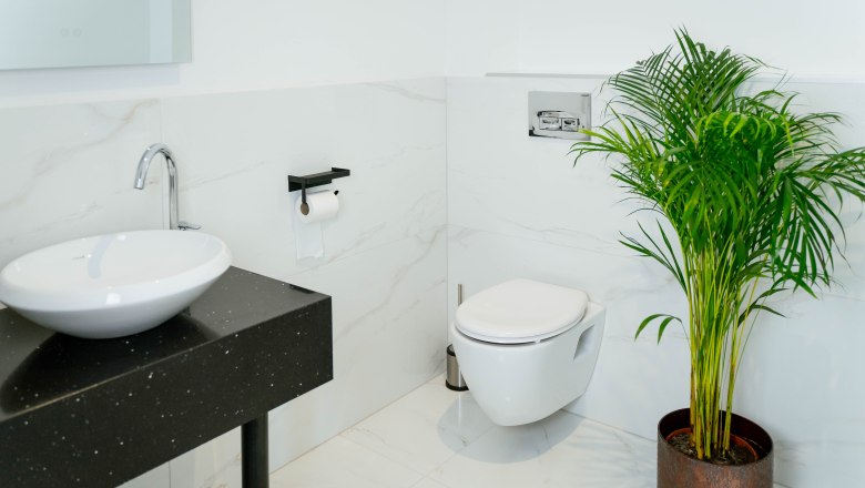 Hotel Lamede, © Hotel Lamede Modern bathroom with washbasin, toilet and plant.