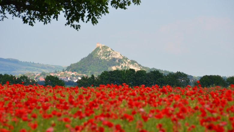 Staatzer mountain, © Erwin Kober Staatzer mountain, © Erwin Kober