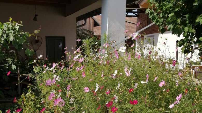 Splendor of flowers in the courtyard, © Andrea Wiesinger Flowerbed with pink and white blossoms in the inner courtyard, surrounded by buildings with wooden roofs.