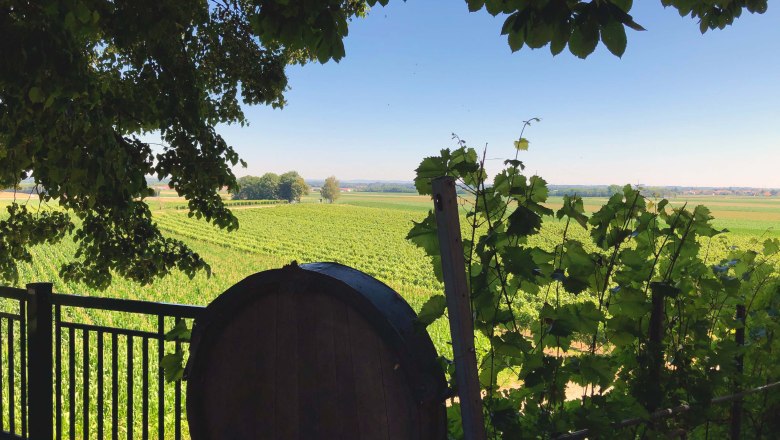 View of the vineyards, © Donau Niederösterreich View of vineyards with a wine barrel in the foreground, framed by leaves.