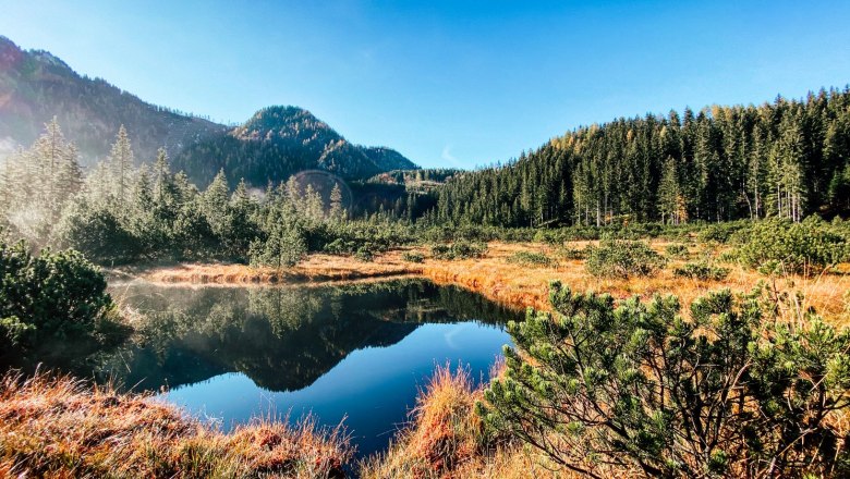 Leckermoor nature reserve, © Heidi Zettel Leckermoor nature reserve, © Heidi Zettel