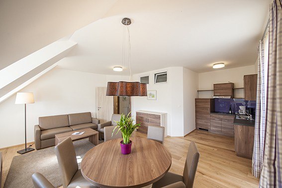 Apartment Weingut Lehensteiner, © Weingut Lehensteiner Modern living room with dining table, sofa and kitchenette.