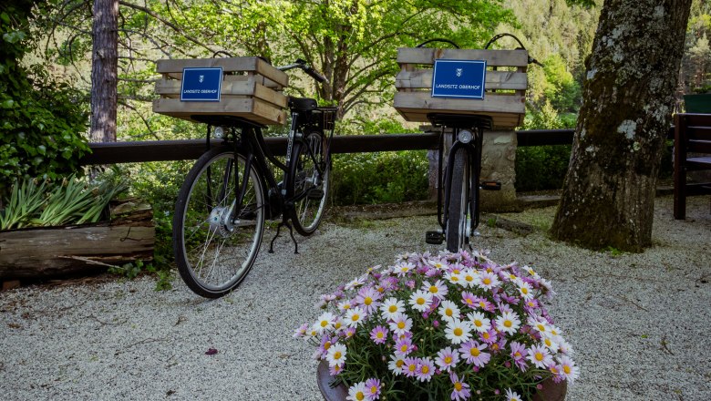 Country estate Oberhof, © Niederösterreich Werbung / Maximilian Pawlikowsky Two bicycles with baskets and "Landsitz Oberhof" signs stand on a gravel path, surrounded by trees and a flower pot with daisies.