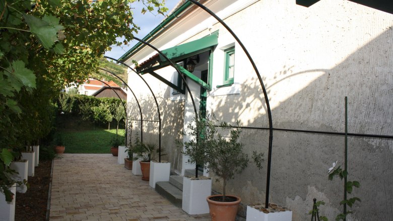 Arbor at the Schmidl organic winery, © Weingut Schmidl Arbor with vines and potted plants at the Schmidl organic winery.