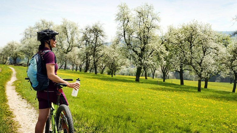 WF232104, © weinfranz.at WF232104, © weinfranz.at