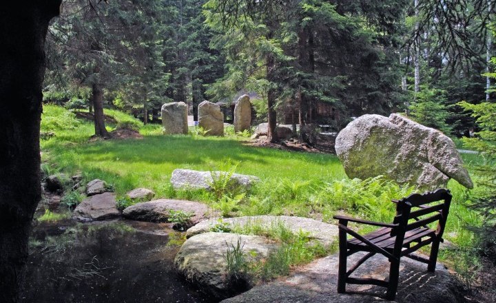 Garden with pond, © Leander Kainz Garden with pond, © Leander Kainz