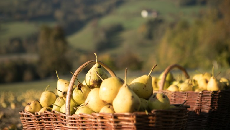 Erne in the Mostviertel, © schwarz-koenig.at Erne in the Mostviertel, © schwarz-koenig.at