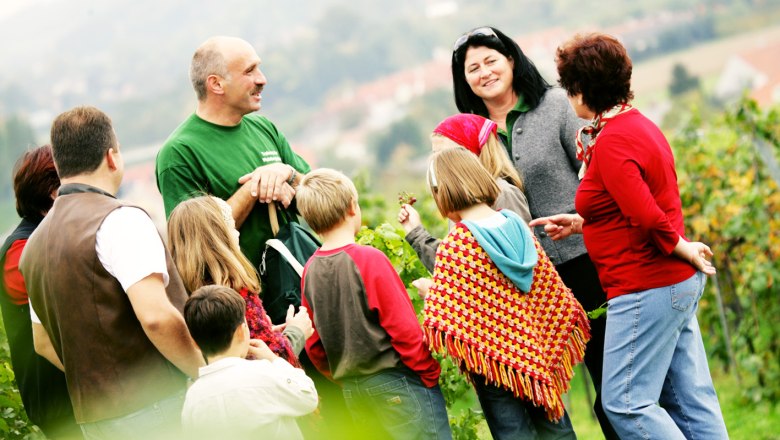 TD-Traisenthaler wine companion, © Weinfranz TD-Traisenthaler wine companion, © Weinfranz