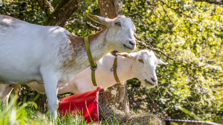 Organic farm Krottensee, © Theo Kust Organic farm Krottensee, © Theo Kust