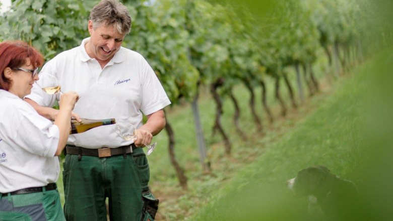 Herzinger Winery, © schwarz-koenig.at Herzinger Winery, © schwarz-koenig.at