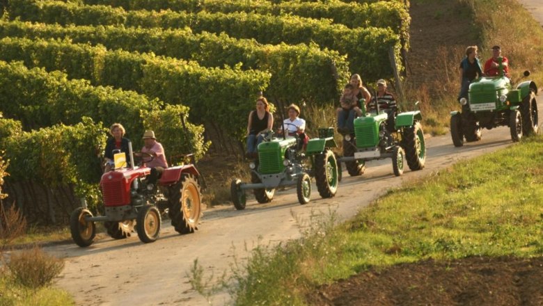 Tractor hiking, © Rudi Weiß Group of people driving tractors through vineyards.