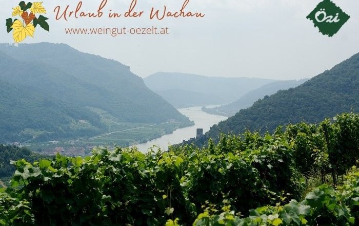 Panorama, © Özelt Panoramic view of the Wachau with vineyards and the Danube in the background.