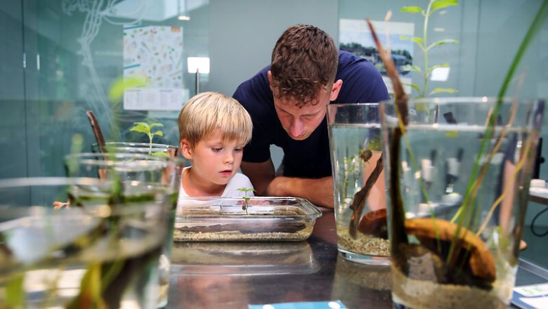UnterWasserReich Schrems, © © Waldviertel Tourismus, weinfranz A man and a child look with interest at an aquarium with aquatic plants and small animals.