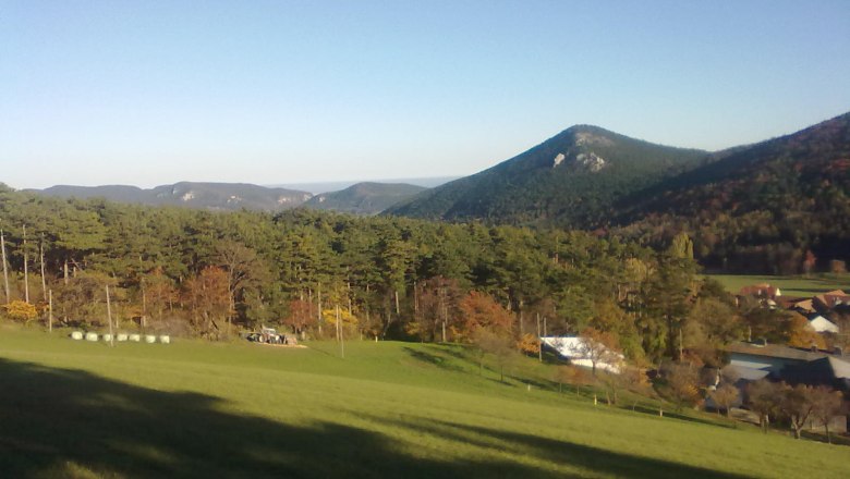 View of the Fischau foothills in the New World, © Reep Landscape with hills, forest and meadows under a clear sky.