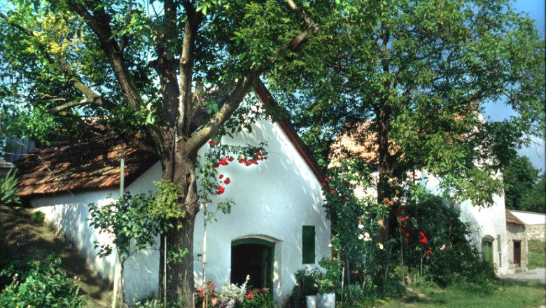 Cellar, © Gemeinde Höflein White house with a red roof, surrounded by trees and flowers.