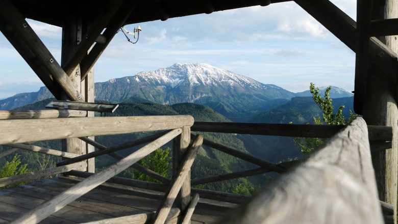 Hochbärneck lookout point, © weinfranz.at Wooden platform with a view of the snow-covered mountain and wooded hills.