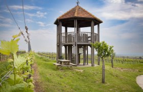 KWTD Fels am Wagram viewing platform, © Donau Niederösterreich, Barbara Elser KWTD Fels am Wagram viewing platform, © Donau Niederösterreich, Barbara Elser
