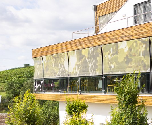 Wine domicile Hagn, © Stefanie Winter Modern building with terrace and vines in the background.
