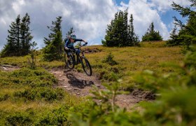 Panorama trails, © Wexl Trails Mountain biker jumping on a forest path in a mountainous landscape.