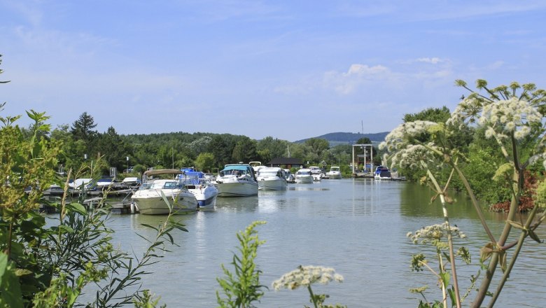 Marina Traismauer, © Kai Nickel Marina Traismauer, © Kai Nickel