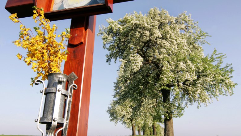 Materl in Neuhofen/Ybbs, © Weinfranz A wooden wayside cross with a picture of the Virgin Mary and yellow flowers, with blossoming trees in a meadow in the background.