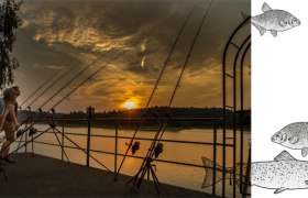 reservoir fishing, © Gut Ottenstein reservoir fishing, © Gut Ottenstein
