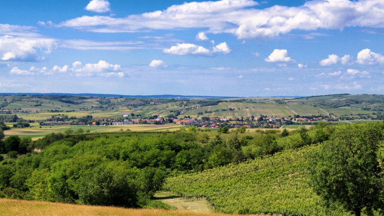 View of Alberndorf, © Gemeinde Alberndorf Landscape with green fields and a village in the background under a blue sky.