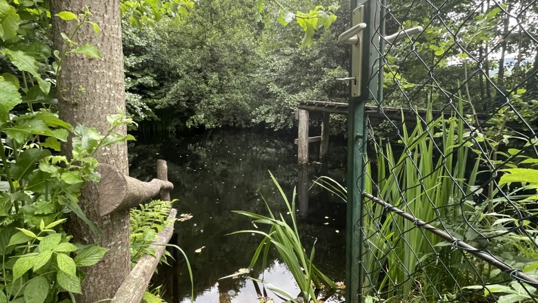 Private natural swimming pond above the vacation apartment, © 1000Krauthof Private natural swimming pond above the vacation apartment, © 1000Krauthof