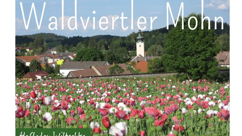 Poppy seed, © Hofladen Wiltschko Poppy seed, © Hofladen Wiltschko