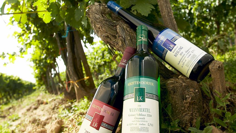 Wines, © Lehmann Three bottles of wine lean against a vine in the vineyard.