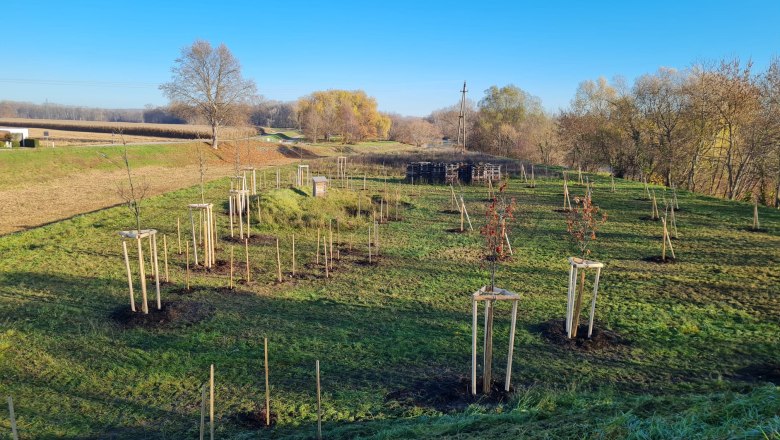 Ecological showcase area, © Stadtgemeinde Traismauer Ecological showcase area, © Stadtgemeinde Traismauer