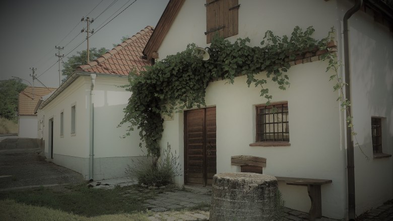 Seefeld wine cellar lane, © Herbert Krautwurm A traditional white building with a red tiled roof and ivy on the façade. In the foreground is an old well.