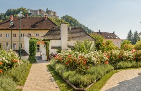 Kirchschlag rose garden, © Im Auftrag von Newman& Co fotografie& bildkonzept KG A well-tended rose garden with red and white roses and a castle on a hill in the background.
