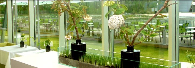 Interior view, © Josef Pichler Interior view of a modern café with large windows and plants.