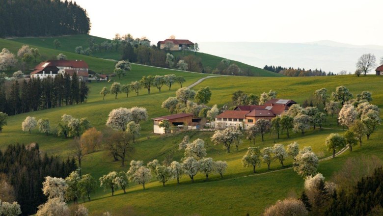 Photo point St. Peter in der Au, © schwarz-koenig.at Photo point St. Peter in der Au, © schwarz-koenig.at