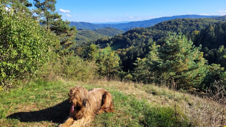 From short tours to long-distance hikes - everything in the area!, © U.E. From short tours to long-distance hikes - everything in the area!, © U.E.