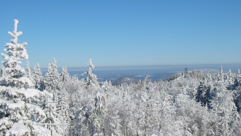 Hohe Wand Nature Park, © Naturpark Hohe Wand Snow-covered landscape in the Hohe Wand Nature Park with fir trees and a clear sky.