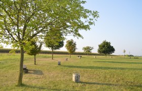 Veltlinerland tree circle, © StadtGemeinde Mistelbach / Mag. Mark Schönmann A circle of trees on a meadow with benches and concrete blocks in the Veltlinerland.