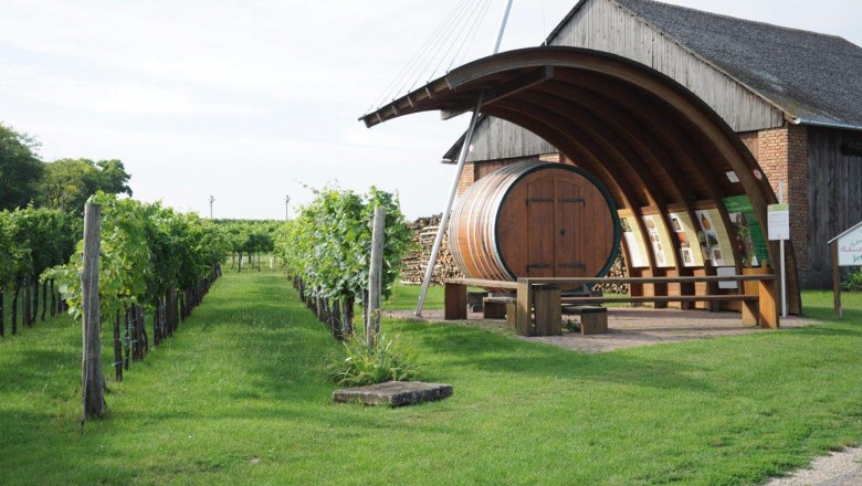Hohenruppersdorf, © Gemeinde Hohenruppersdorf Vineyard with large wooden barrel and information boards in Hohenruppersdorf.