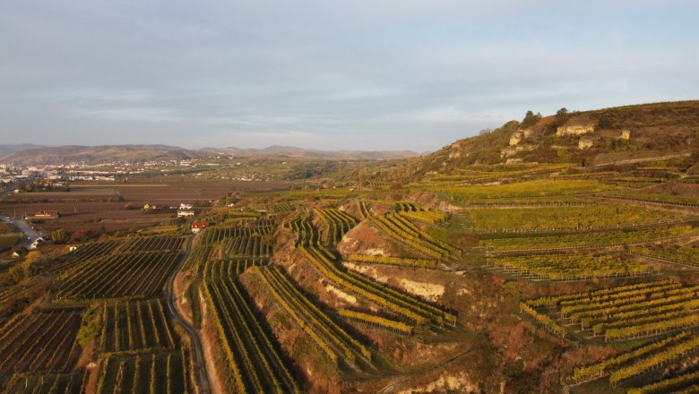 The Rohrendorfer Gebling vineyard, © Weingut Mittelbach Aerial view of vineyards in Rohrendorf, Austria, at sunset.