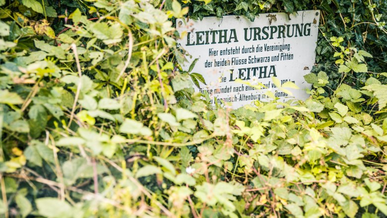 In the Leitha-Au, © Wiener Alpen, Martin Fülöp A sign with the inscription 'Leitha Ursprung' is overgrown with dense greenery.