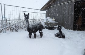 Sophie and Marie in the snow, © Michael Berner Sophie and Marie in the snow, © Michael Berner