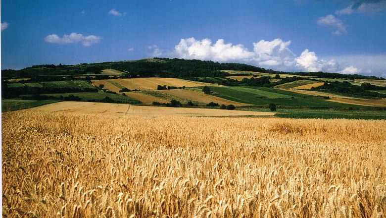 Wash mountain, © Gemeinde Leitzersdorf Wheat field in front of a hilly landscape with blue sky and clouds.
