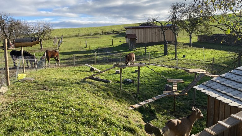 ANDRELLA-HOF, © Andreas Artner ANDRELLA-HOF, © Andreas Artner