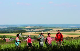 Hikers on the road "Auf da Hoad", © Stadtgemeinde Maissau Group of hikers on a country lane with a wide landscape in the background.