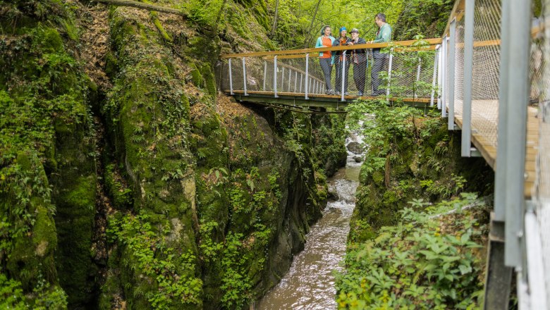Johannesbach gorge footbridge, © Gemeinde Würflach A group of people are standing on a footbridge over a wooded ravine with a stream.